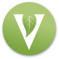 The Vine Church