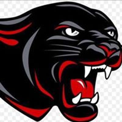 Panther Kids Wrestling