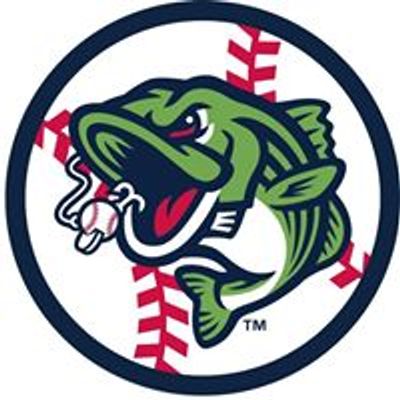 Gwinnett Stripers