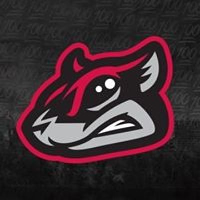 Flying Squirrels Baseball