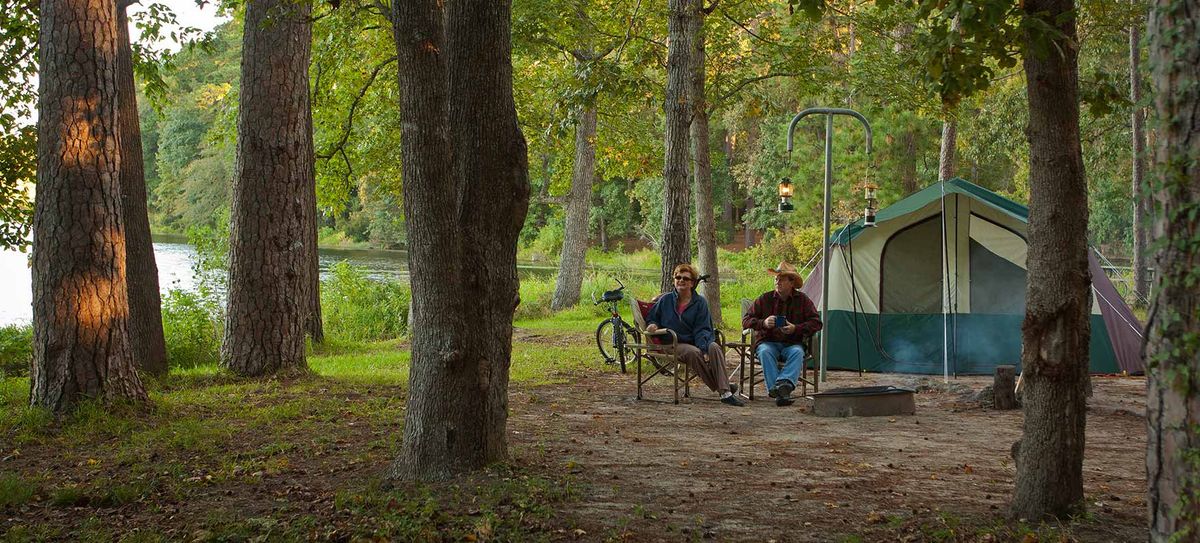 Parking Into The Woods - Phoenix