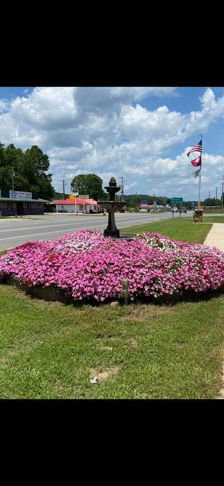 Mayflower Independence Day Celebration