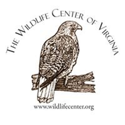 Bald Eagle Release at Newport News Park | Newport News Park Horse Arena ...