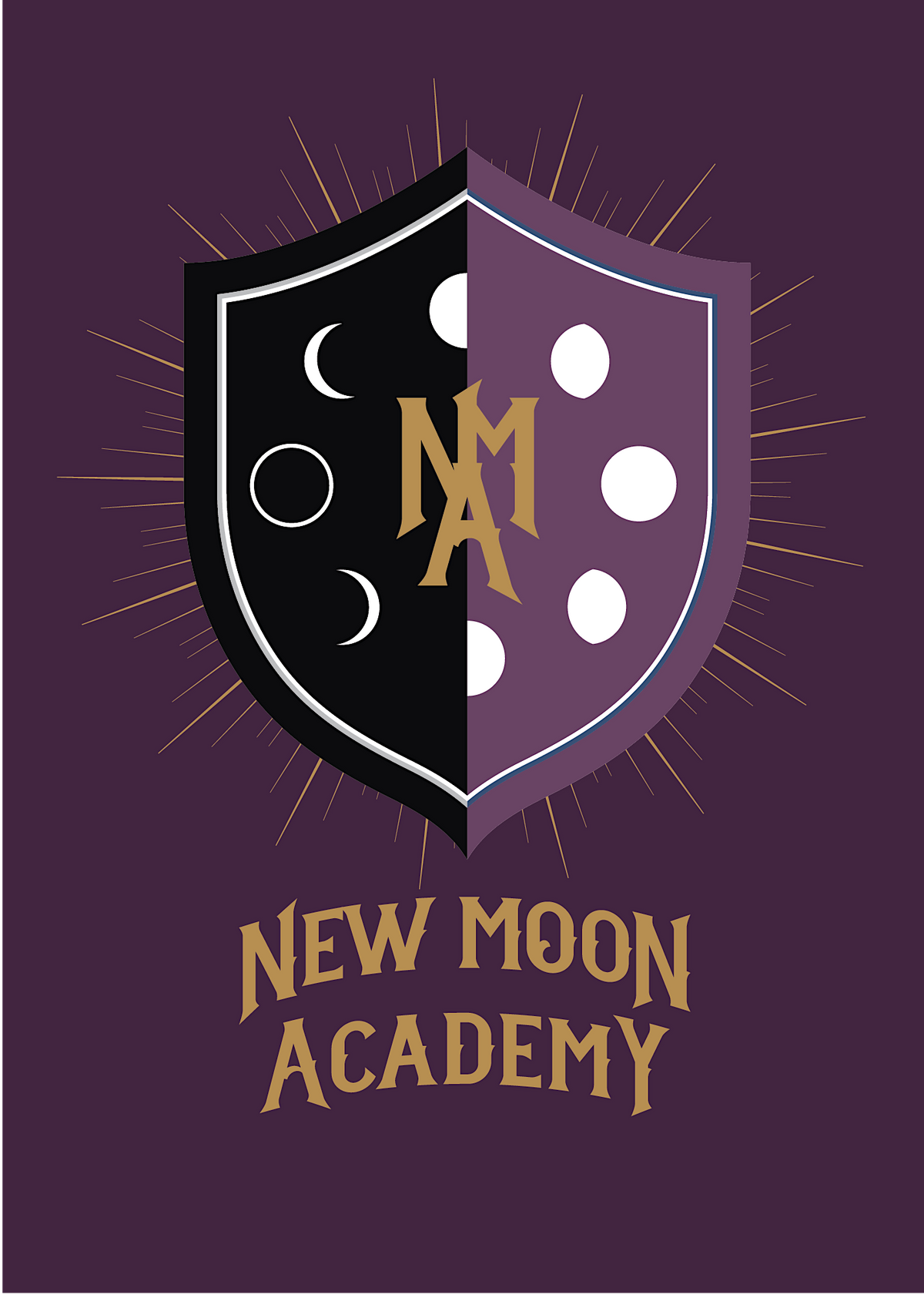 New Moon Academy Level 1 Compete Course