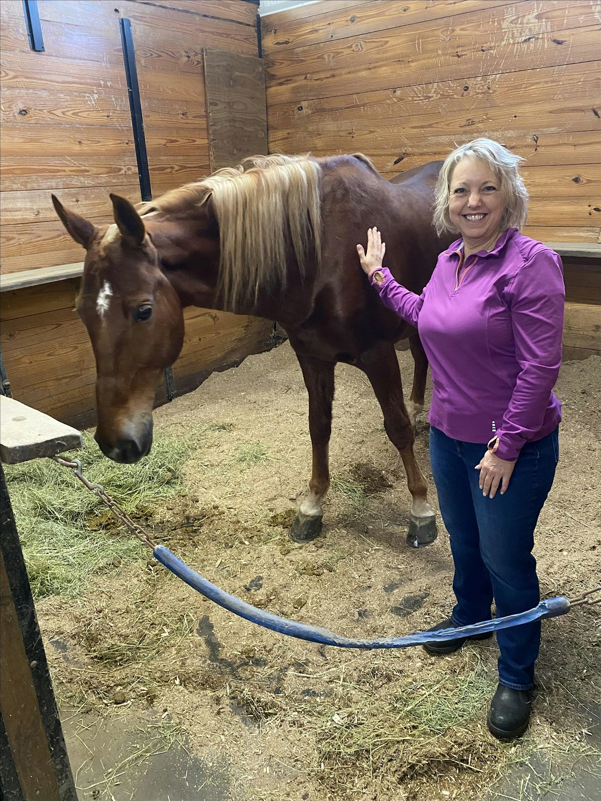 Tri Semester Summer Horse Riding Lessons 10 weeks La Fleur Stables, L
