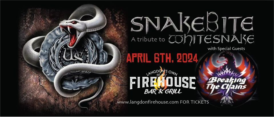 Snake Bite - The Ultimate Tribute to Whitesnake