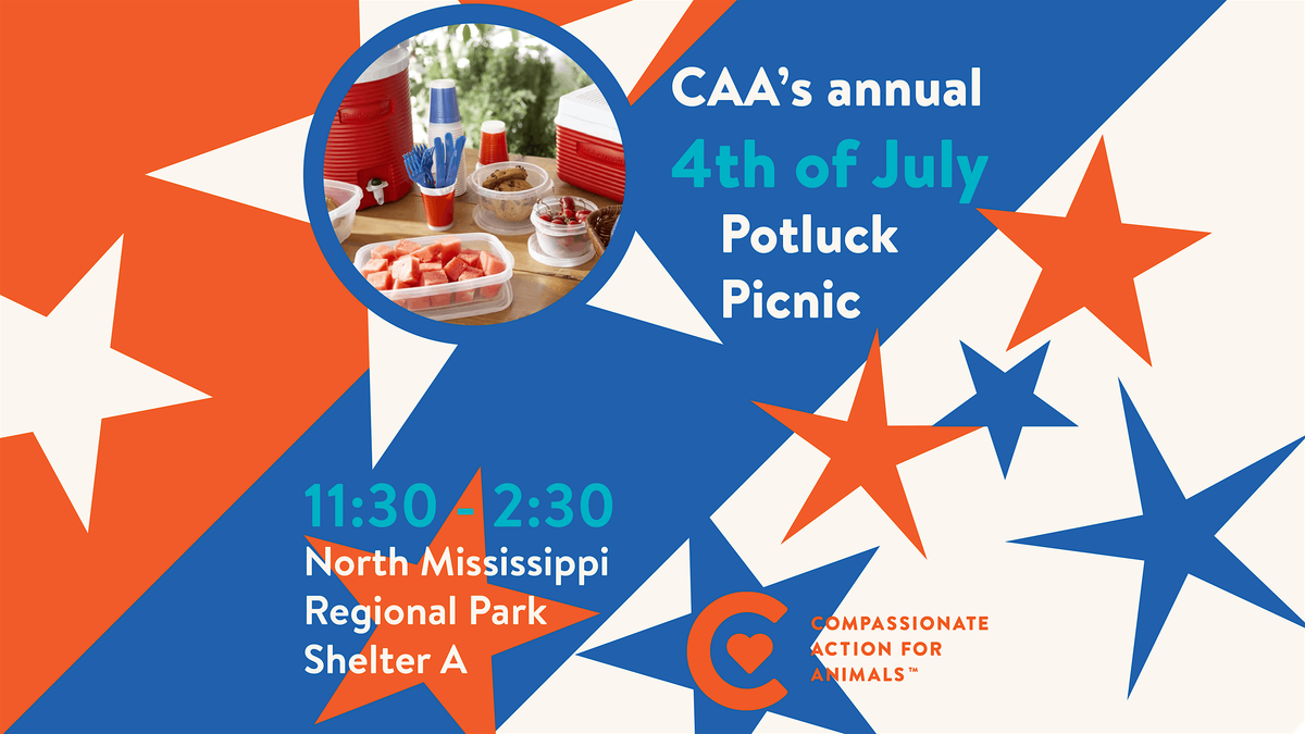 Somali Independence Week at Currie Park in CedarRiverside! Currie