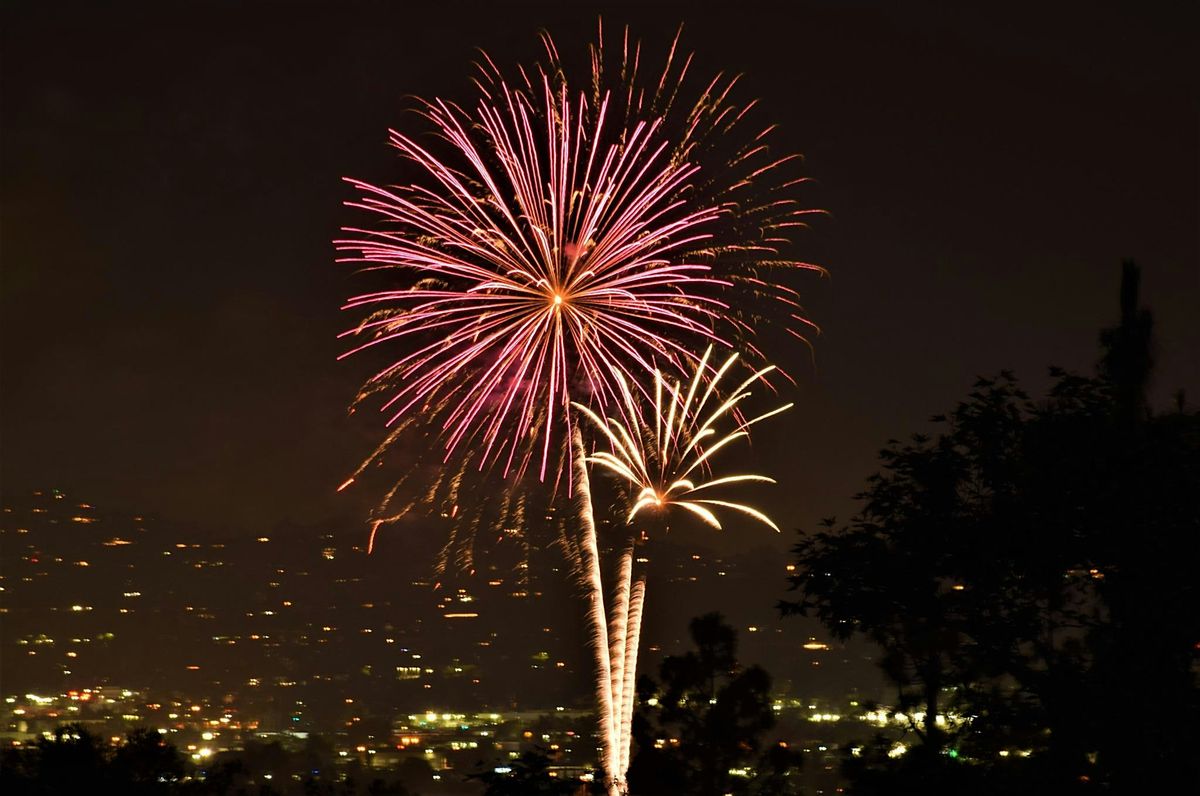 Santee Salutes 2024 (Parking and Canopy Sales)