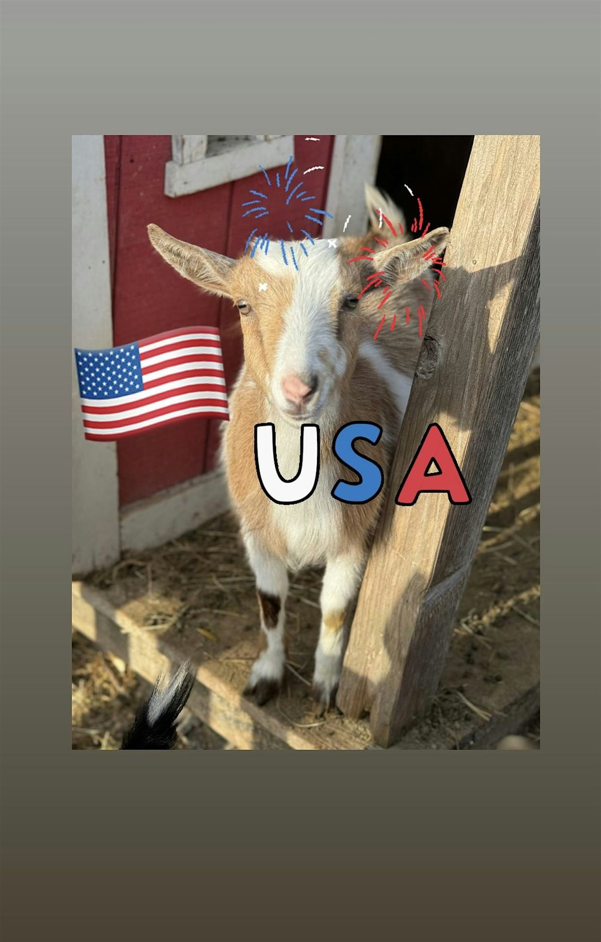 Goat Yoga Nashville- July Jubilee\/4th of July Class