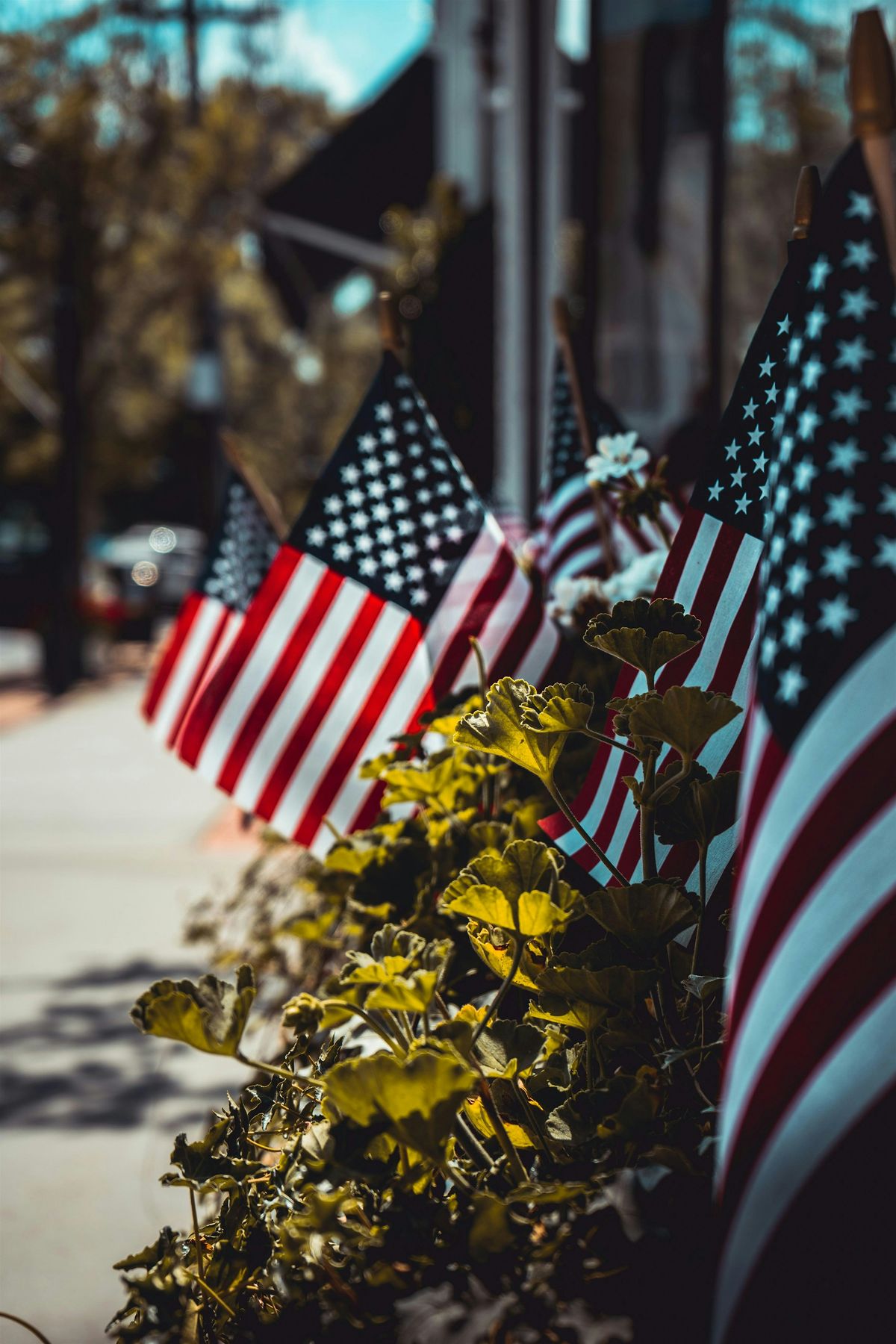 2025 Freedom Festival Volunteer Opportunities